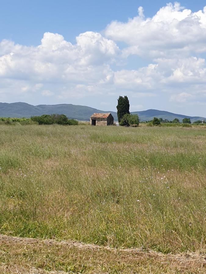 La Grange Du Cade Villa Magalas Eksteriør bilde